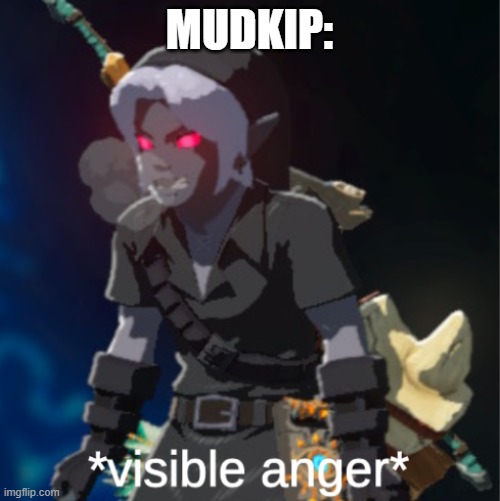 Visible anger | MUDKIP: | image tagged in visible anger | made w/ Imgflip meme maker