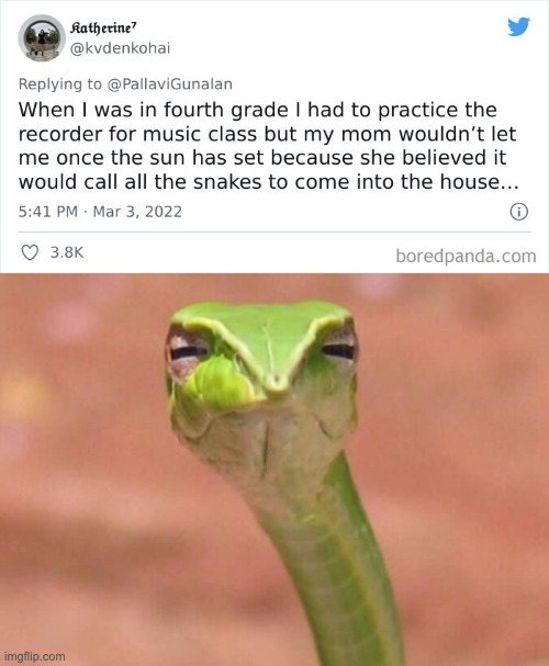 image tagged in skeptical snake | made w/ Imgflip meme maker