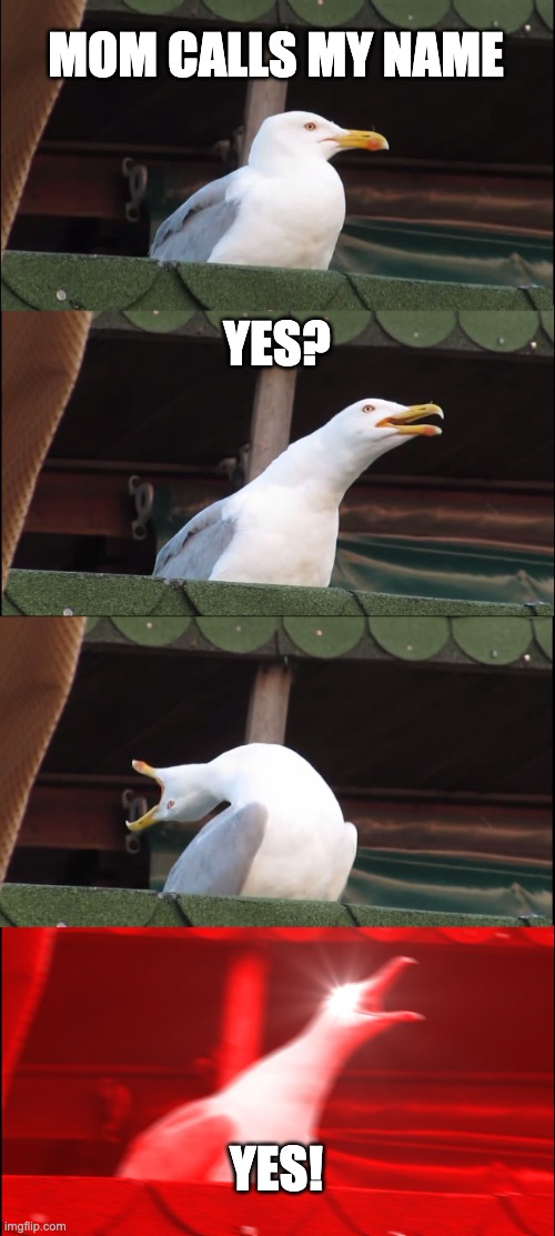 Inhaling Seagull Meme | MOM CALLS MY NAME; YES? YES! | image tagged in memes,inhaling seagull | made w/ Imgflip meme maker