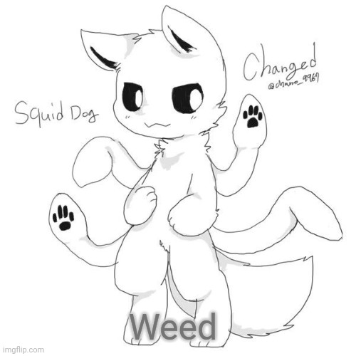Squid dog | Weed | image tagged in squid dog | made w/ Imgflip meme maker