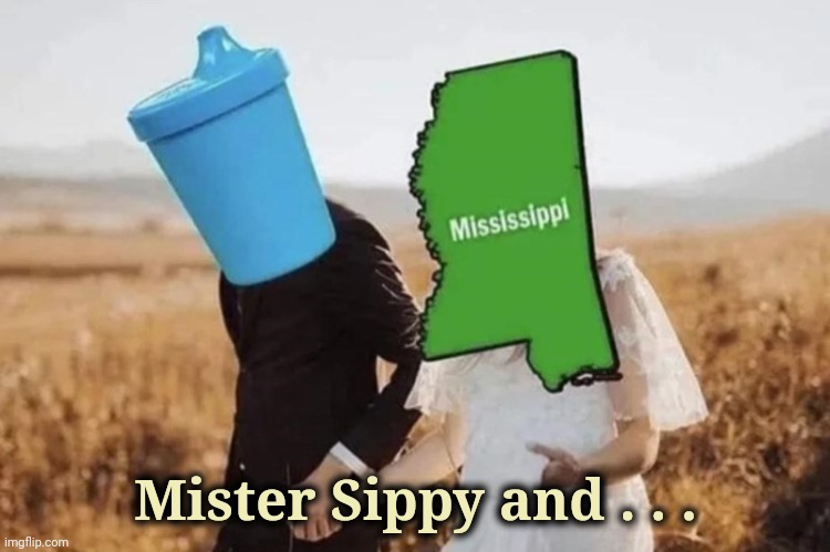 "Take my Wife . . . please" - Henny Youngman | Mister Sippy and . . . | image tagged in married,happy couple,still a better love story than twilight | made w/ Imgflip meme maker