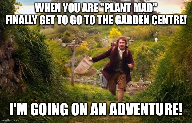 hobbit | WHEN YOU ARE "PLANT MAD" FINALLY GET TO GO TO THE GARDEN CENTRE! I'M GOING ON AN ADVENTURE! | image tagged in hobbit | made w/ Imgflip meme maker