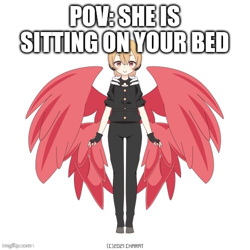 Idc where this goes | POV: SHE IS SITTING ON YOUR BED | image tagged in idk,please help me | made w/ Imgflip meme maker