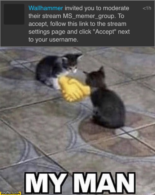 image tagged in cats shaking hands | made w/ Imgflip meme maker