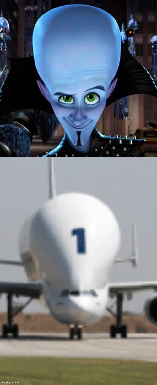 holy shit aviation predicted megamind | image tagged in shitpost status | made w/ Imgflip meme maker