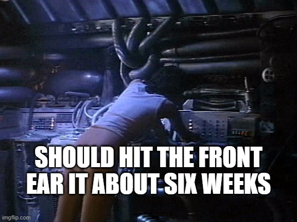 Ripley's butt | SHOULD HIT THE FRONT EAR IT ABOUT SIX WEEKS | image tagged in ripley's butt | made w/ Imgflip meme maker