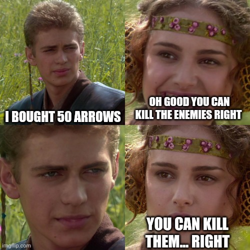 Anakin Padme 4 Panel | I BOUGHT 50 ARROWS; OH GOOD YOU CAN KILL THE ENEMIES RIGHT; YOU CAN KILL THEM... RIGHT | image tagged in anakin padme 4 panel | made w/ Imgflip meme maker