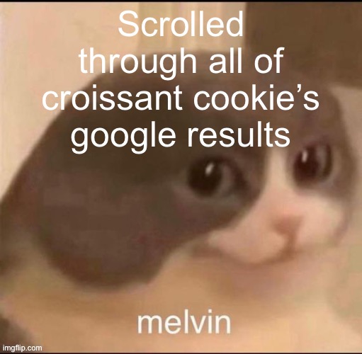 some of it was good, some of it was bad, either way i’m horny now | Scrolled through all of croissant cookie’s google results | image tagged in melvin | made w/ Imgflip meme maker