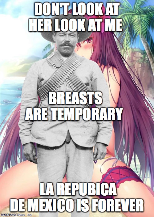 VIVA MEXICO | DON'T LOOK AT HER LOOK AT ME; BREASTS ARE TEMPORARY; LA REPUBICA DE MEXICO IS FOREVER | made w/ Imgflip meme maker