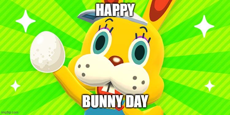 Zipper | HAPPY; BUNNY DAY | image tagged in zipper | made w/ Imgflip meme maker