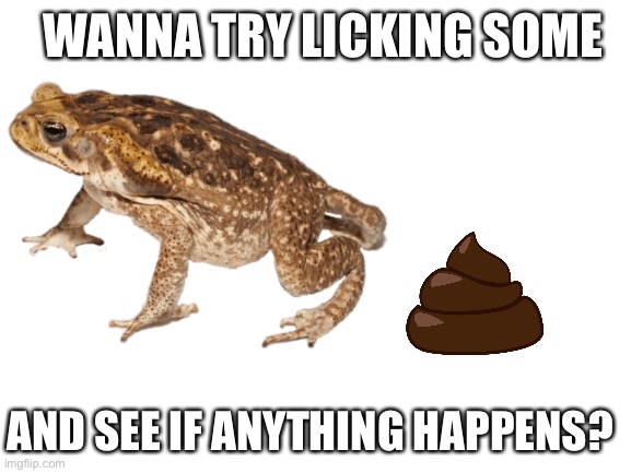 AND SEE IF ANYTHING HAPPENS? WANNA TRY LICKING SOME | made w/ Imgflip meme maker