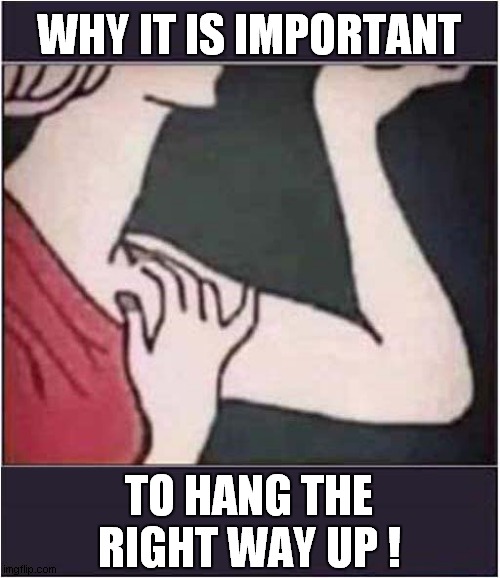 Medieval Art | WHY IT IS IMPORTANT; TO HANG THE RIGHT WAY UP ! | image tagged in medieval,art,rotate,dark humour | made w/ Imgflip meme maker