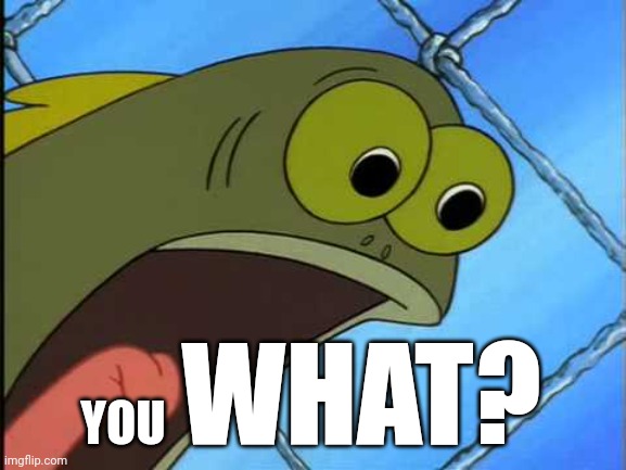 You what?! | WHAT? YOU | image tagged in you what | made w/ Imgflip meme maker