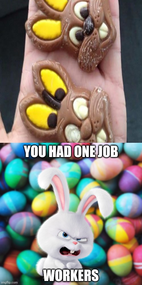 Chocolate bunnies | YOU HAD ONE JOB; WORKERS | image tagged in angry easter bunny snowball,reposts,repost,easter,you had one job,memes | made w/ Imgflip meme maker