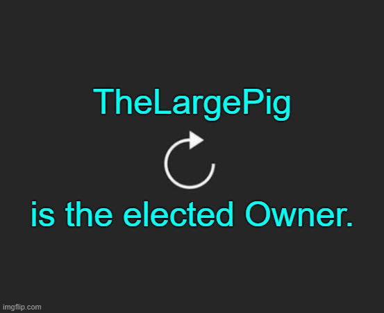 . | TheLargePig; is the elected Owner. | image tagged in replay button | made w/ Imgflip meme maker