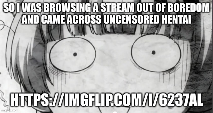 raid time | SO I WAS BROWSING A STREAM OUT OF BOREDOM
AND CAME ACROSS UNCENSORED HENTAI; HTTPS://IMGFLIP.COM/I/6237AL | image tagged in confused anime girl | made w/ Imgflip meme maker
