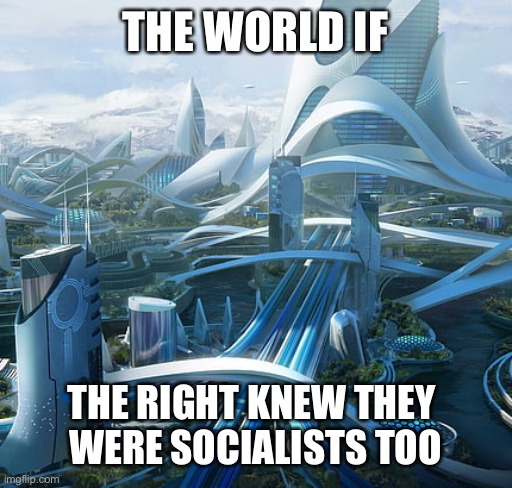 The world if | THE WORLD IF THE RIGHT KNEW THEY 
WERE SOCIALISTS TOO | image tagged in the world if | made w/ Imgflip meme maker