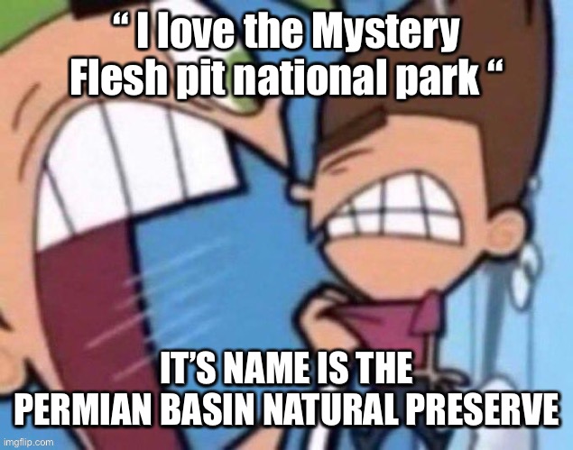 SUBMITTED THIS TO FUN ON ACCIDENT | “ I love the Mystery Flesh pit national park “; IT’S NAME IS THE PERMIAN BASIN NATURAL PRESERVE | image tagged in shitpost status | made w/ Imgflip meme maker