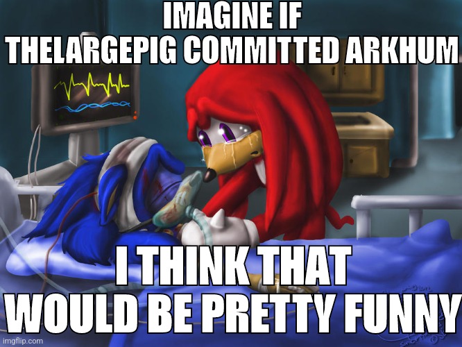 I think | IMAGINE IF THELARGEPIG COMMITTED ARKHUM; I THINK THAT WOULD BE PRETTY FUNNY | image tagged in dying sonic | made w/ Imgflip meme maker