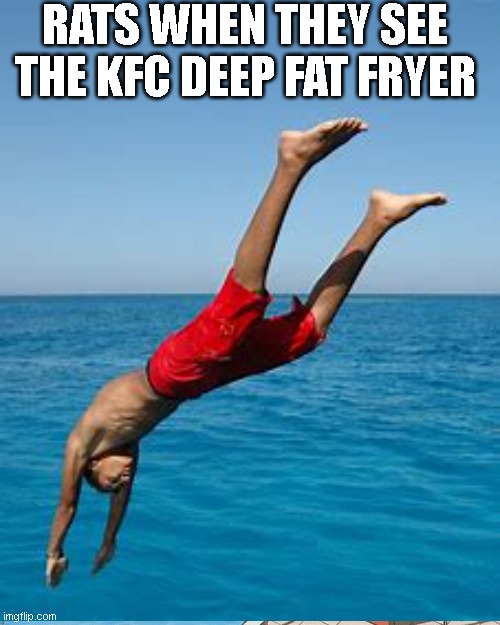  RATS WHEN THEY SEE THE KFC DEEP FAT FRYER | image tagged in kfc,rats | made w/ Imgflip meme maker