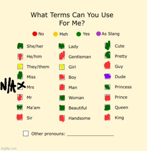 hey here is what you can call me | image tagged in pronouns sheet | made w/ Imgflip meme maker