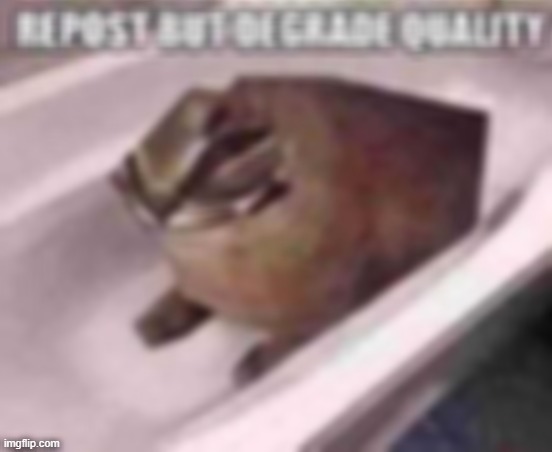 more bc yes | made w/ Imgflip meme maker