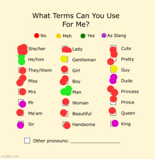 E | image tagged in pronouns sheet | made w/ Imgflip meme maker