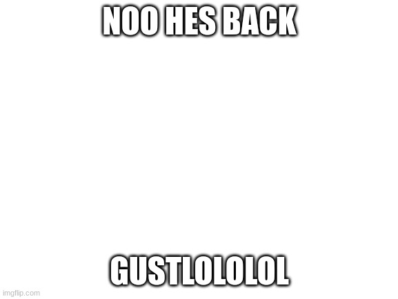 https://imgflip.com/m/gustlololol4 | NOO HES BACK; GUSTLOLOLOL | image tagged in blank white template | made w/ Imgflip meme maker