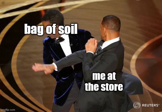 me | bag of soil; me at the store | image tagged in will smith punching chris rock | made w/ Imgflip meme maker
