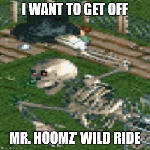 Mr Bones Wild Ride | I WANT TO GET OFF; MR. HOOMZ' WILD RIDE | image tagged in mr bones wild ride | made w/ Imgflip meme maker