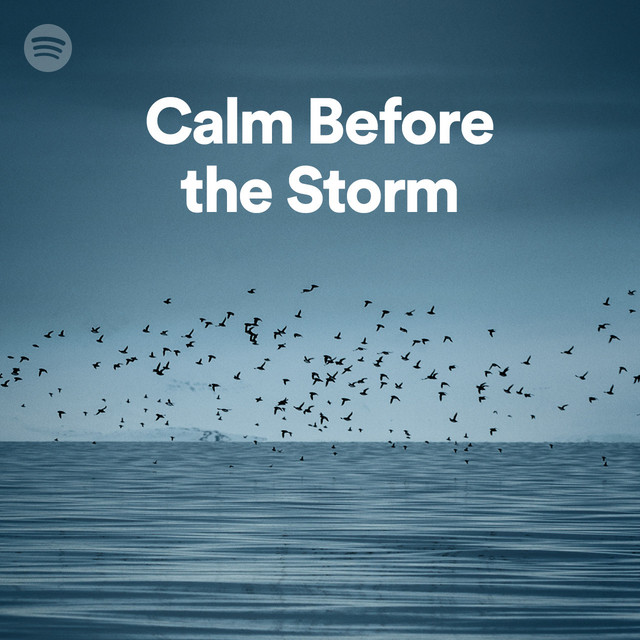 High Quality Calm before the Storm Blank Meme Template