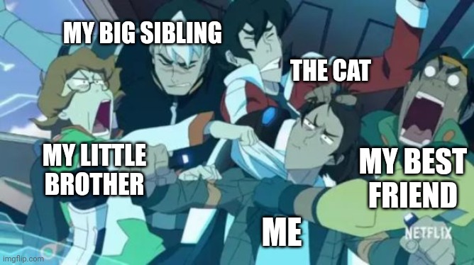 Trying to survive in life | MY BIG SIBLING; THE CAT; MY LITTLE BROTHER; MY BEST FRIEND; ME | image tagged in voltron squad | made w/ Imgflip meme maker
