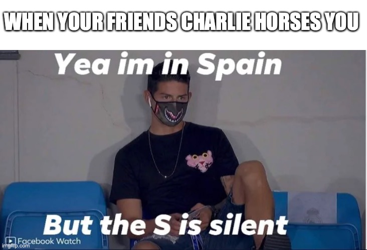 just walk it off.... maybe | WHEN YOUR FRIENDS CHARLIE HORSES YOU | image tagged in memes,fun,funny,bored,y u no | made w/ Imgflip meme maker