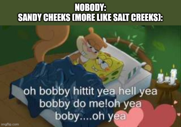 oh bobby hittit yea hell yea bobby do me!oh yea boby....oh yea | NOBODY:
SANDY CHEEKS (MORE LIKE SALT CREEKS): | image tagged in sandy cheeks,spongebob,cursed image,stop reading the tags,or else,barney will eat all of your delectable biscuits | made w/ Imgflip meme maker