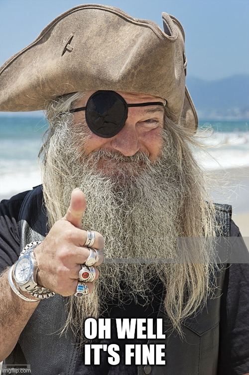 PIRATE THUMBS UP | OH WELL IT'S FINE | image tagged in pirate thumbs up | made w/ Imgflip meme maker