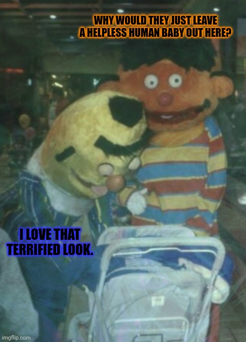 Fresh meat |  WHY WOULD THEY JUST LEAVE A HELPLESS HUMAN BABY OUT HERE? I LOVE THAT TERRIFIED LOOK. | image tagged in fresh meat,bert and ernie,kidnapping,sesame street,its time to stop | made w/ Imgflip meme maker