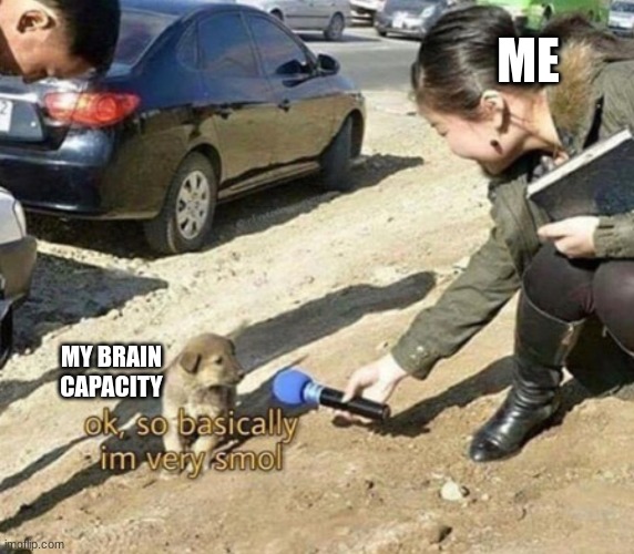 the reason I can never remember anything (especially my homework) | ME; MY BRAIN CAPACITY | image tagged in very smol,bad memory | made w/ Imgflip meme maker