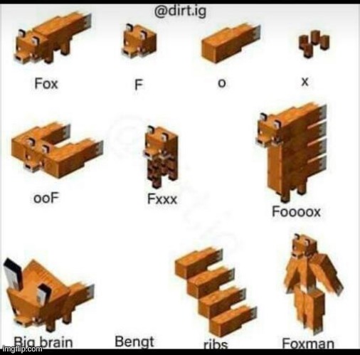 Fox | image tagged in minecraft memes,foxes | made w/ Imgflip meme maker