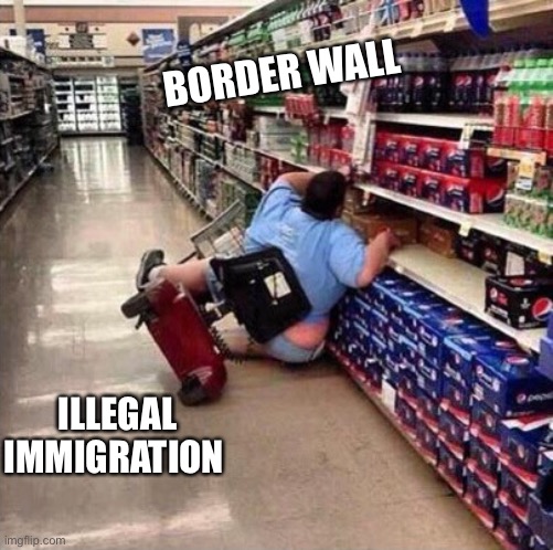 Fat Person Falling Over | BORDER WALL; ILLEGAL IMMIGRATION | image tagged in fat person falling over | made w/ Imgflip meme maker