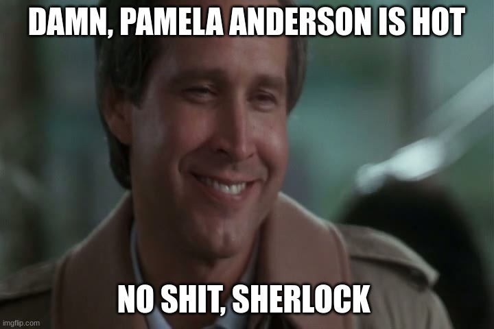 No Shit! | DAMN, PAMELA ANDERSON IS HOT; NO SHIT, SHERLOCK | image tagged in no shit | made w/ Imgflip meme maker