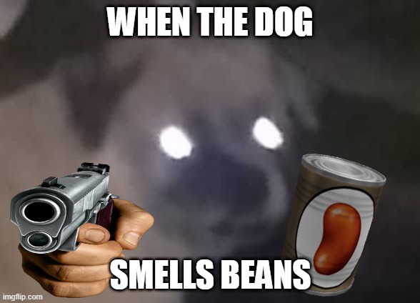 Beans | WHEN THE DOG; SMELLS BEANS | image tagged in when the dog when when,beans | made w/ Imgflip meme maker