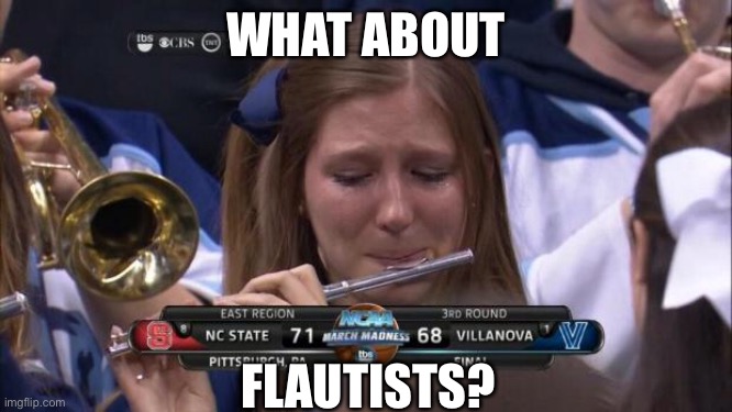 Flutes flaut flaunt | WHAT ABOUT FLAUTISTS? | image tagged in crying flute girl,flute,flautists,playing | made w/ Imgflip meme maker