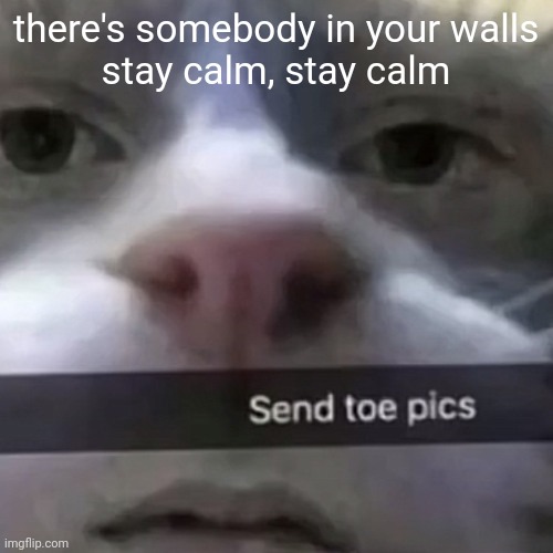 kat | there's somebody in your walls
stay calm, stay calm | image tagged in kat | made w/ Imgflip meme maker