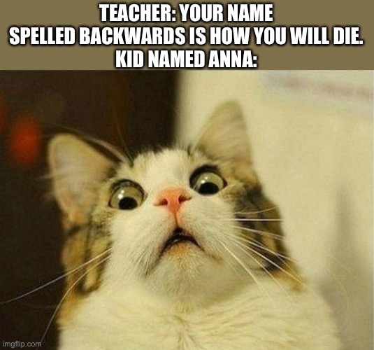 Ummmm | TEACHER: YOUR NAME SPELLED BACKWARDS IS HOW YOU WILL DIE.
KID NAMED ANNA: | image tagged in memes,scared cat | made w/ Imgflip meme maker