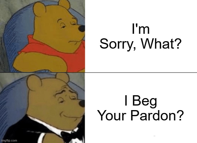 7 year old me trying to be fancy | I'm Sorry, What? I Beg Your Pardon? | image tagged in memes,tuxedo winnie the pooh | made w/ Imgflip meme maker