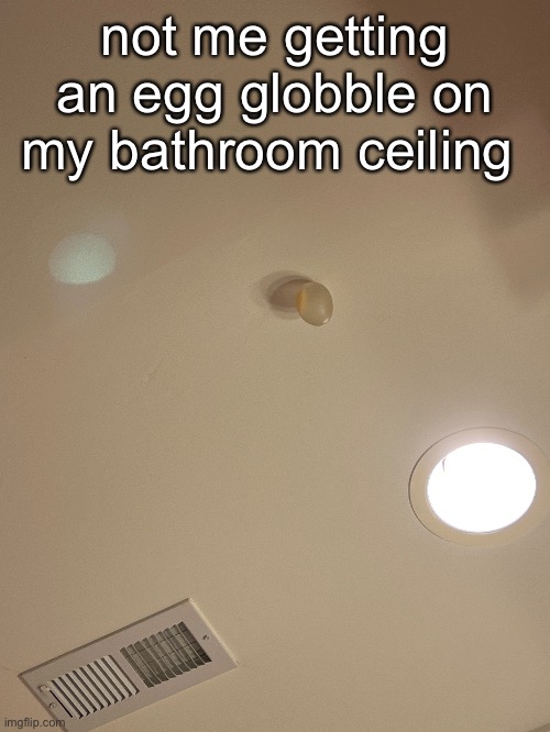 oop | not me getting an egg globble on my bathroom ceiling | image tagged in mistake | made w/ Imgflip meme maker