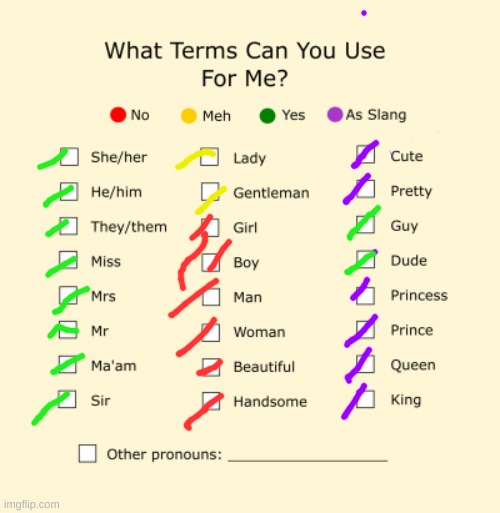 Pronouns Sheet | image tagged in pronouns sheet | made w/ Imgflip meme maker