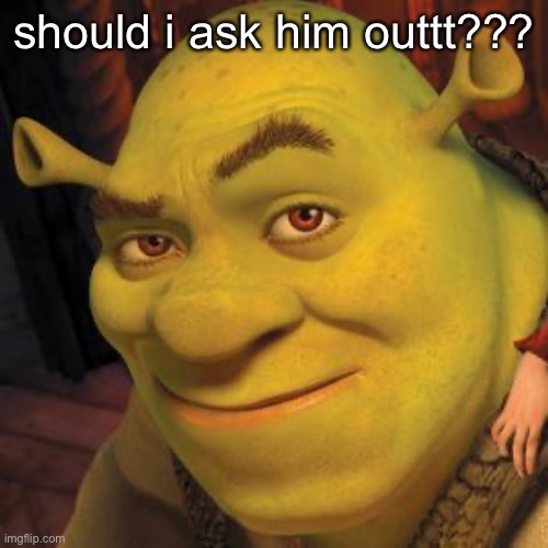 hes soooo hot | should i ask him outtt??? | image tagged in shrek sexy face | made w/ Imgflip meme maker