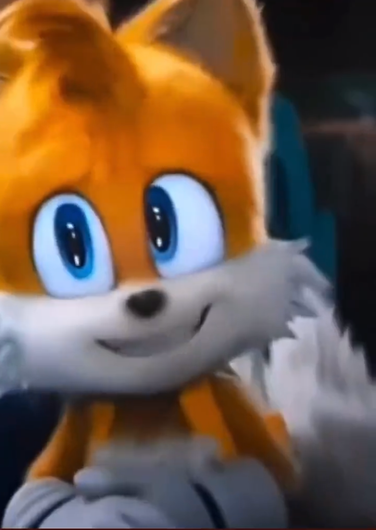 High Quality Tails What do you mean “we”? Blank Meme Template