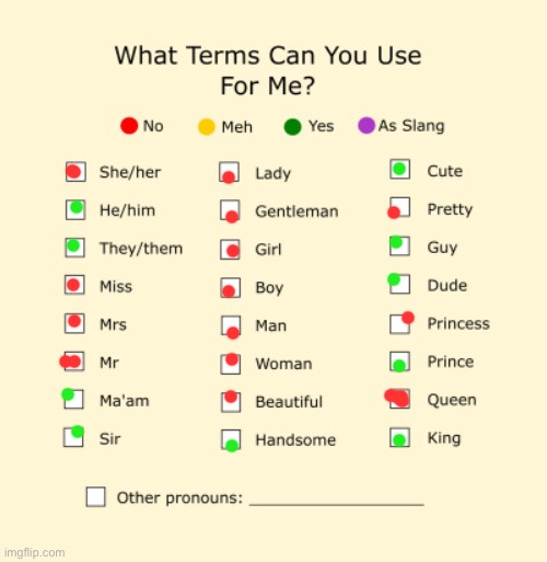 Pronouns Sheet | image tagged in pronouns sheet | made w/ Imgflip meme maker